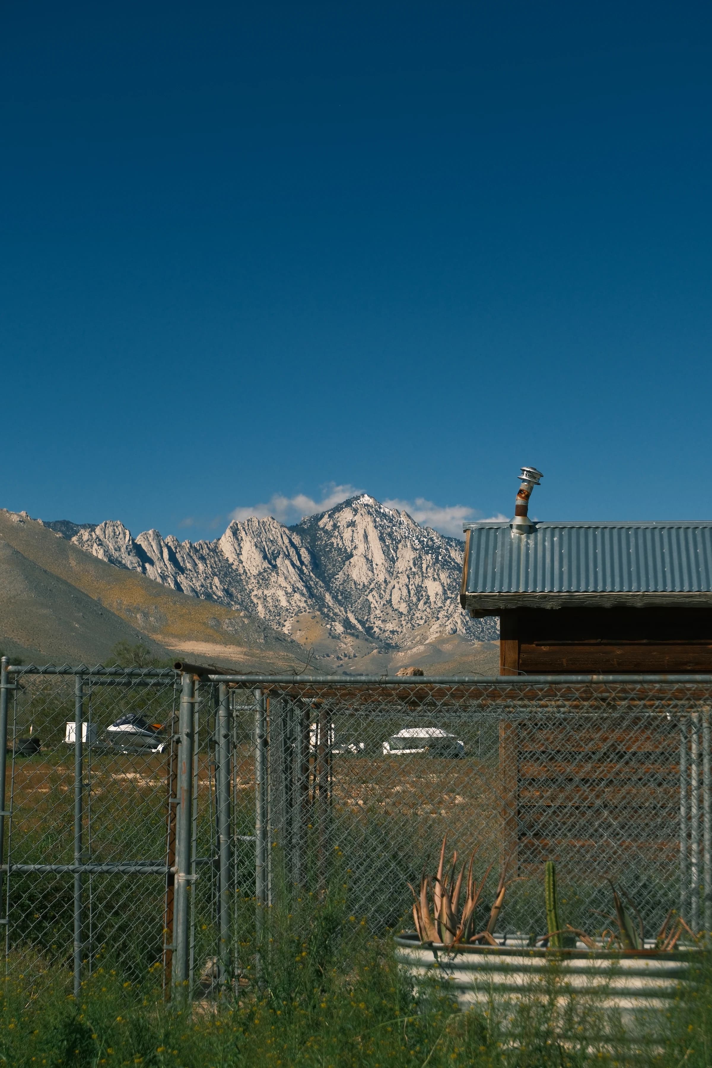 lone shed