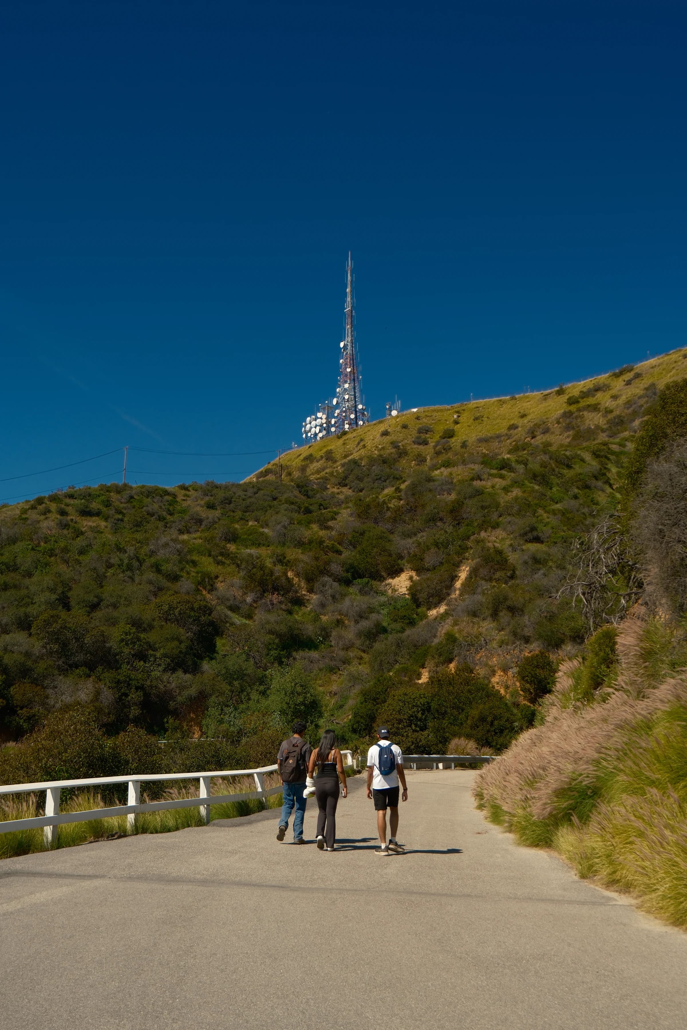 path to mt.lee