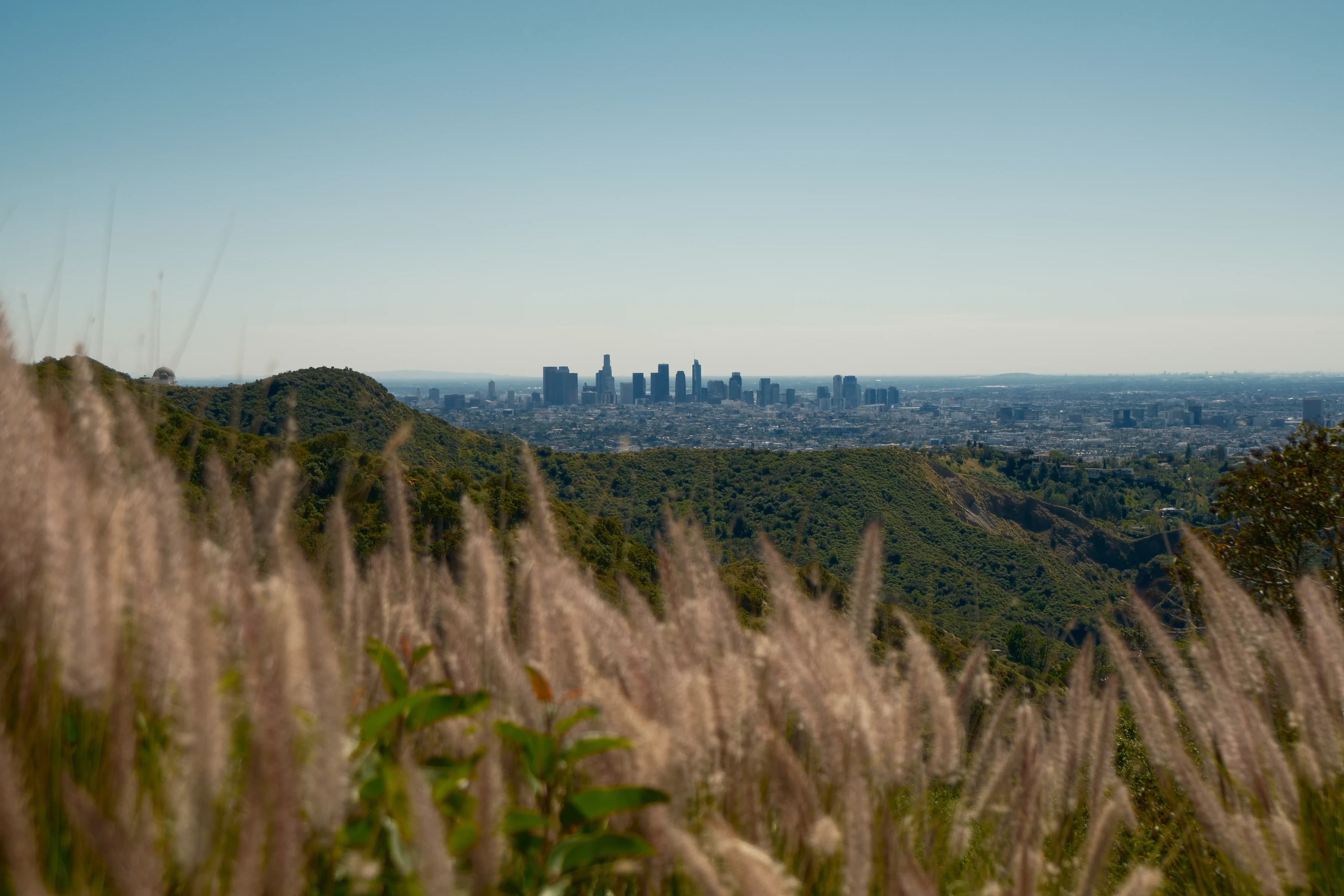 DTLA from the hills