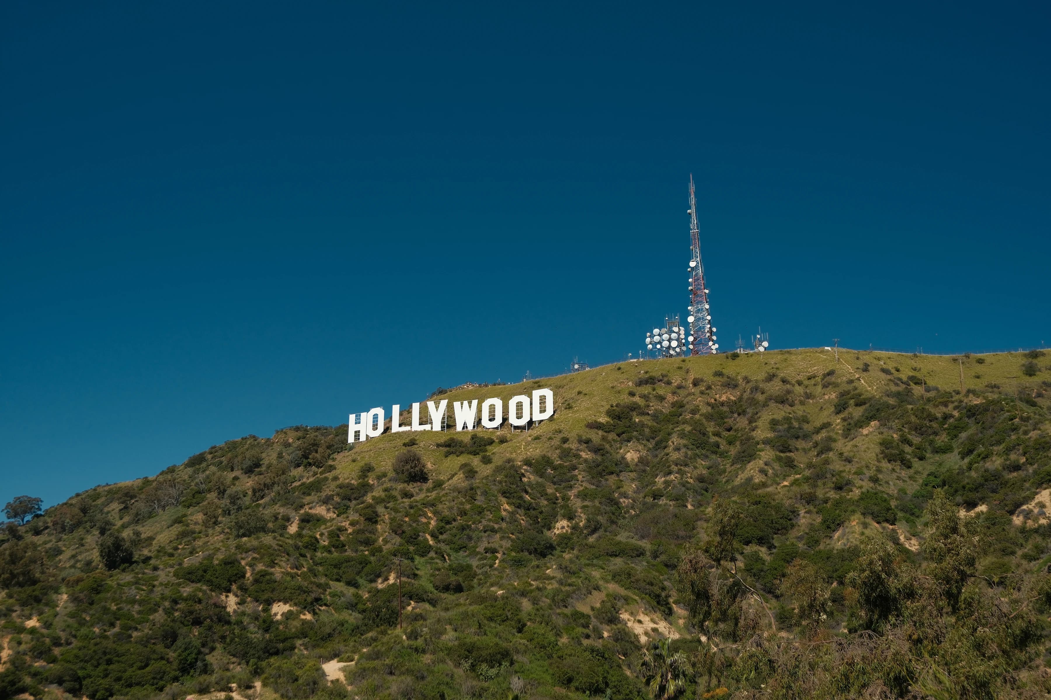 the sign