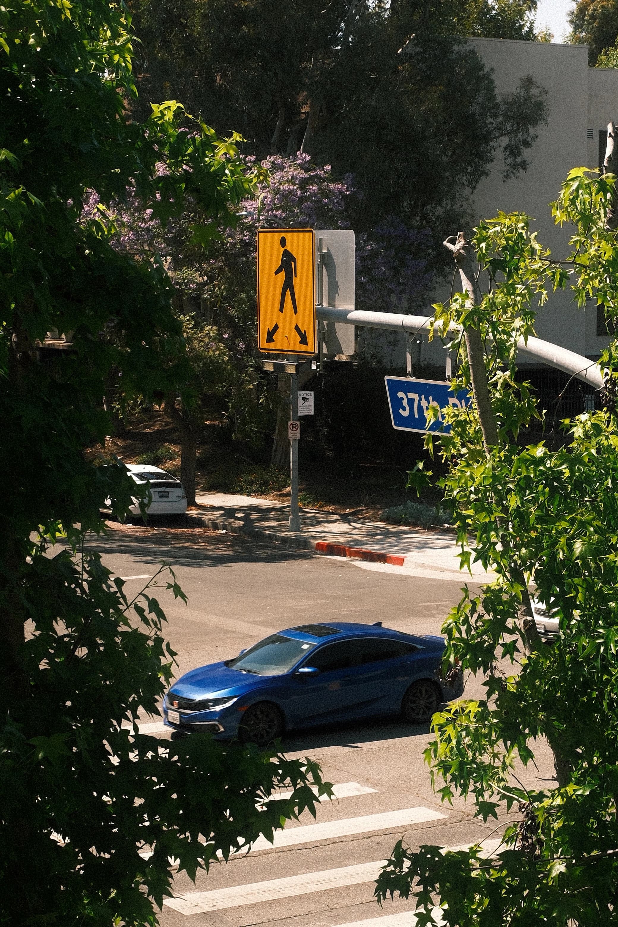W 37th Pl