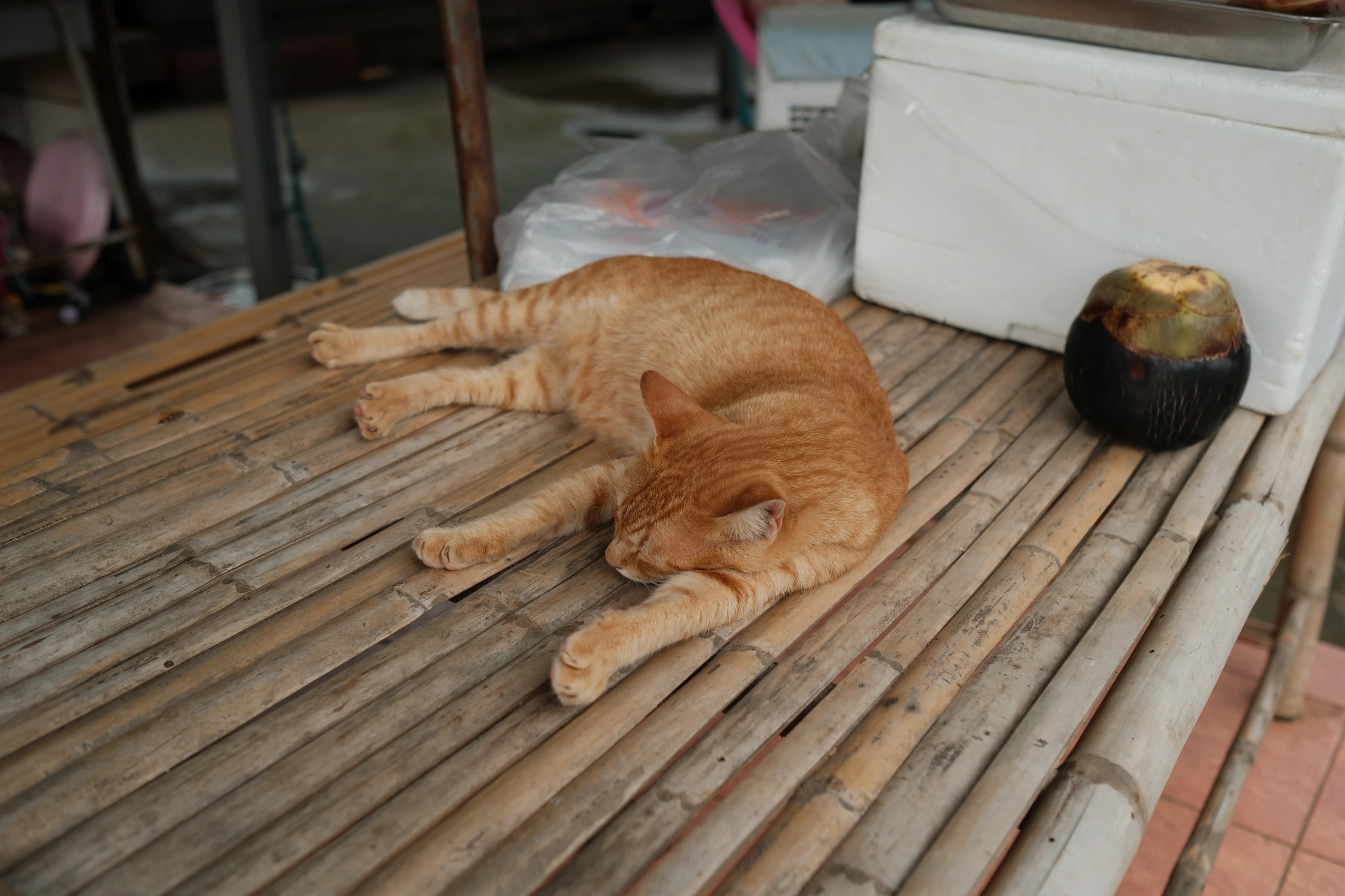 stretched nap